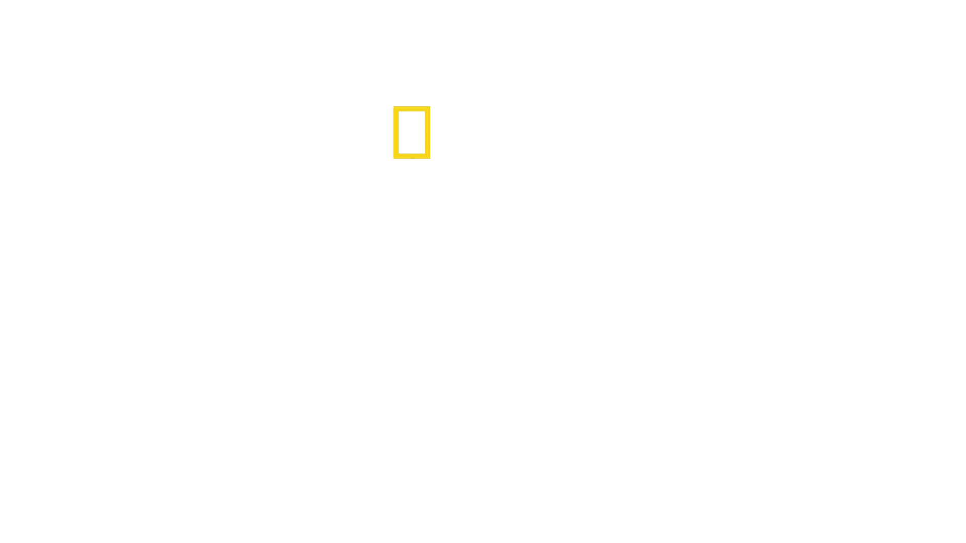The Hidden Holocaust