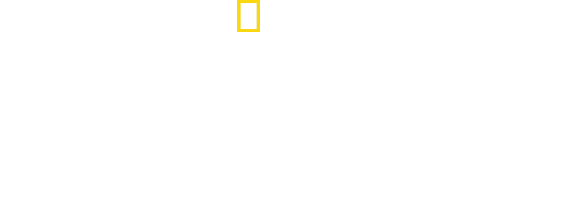 The Hidden Holocaust