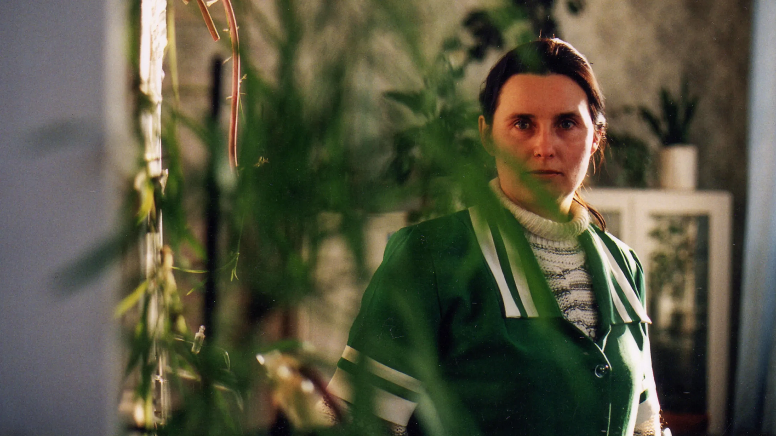 How to Re-Establish a Vodka Empire