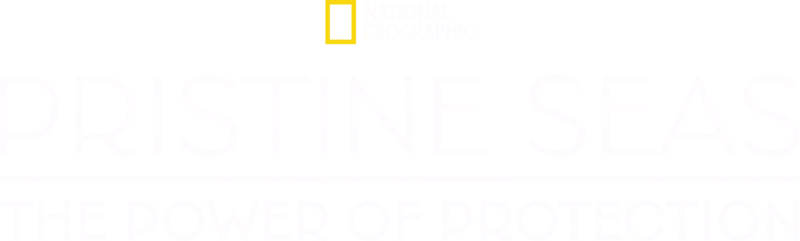 Pristine Seas: The Power of Protection