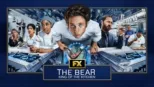 The Bear: King of the Kitchen