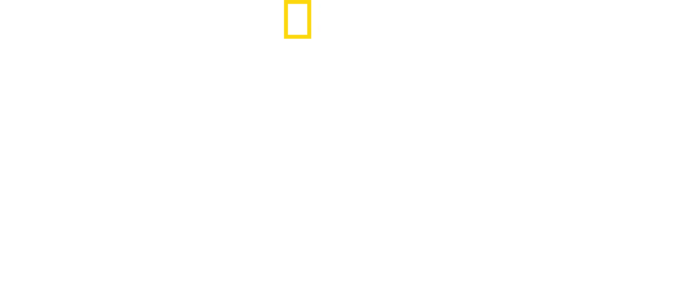 Hitlers sidste kampe