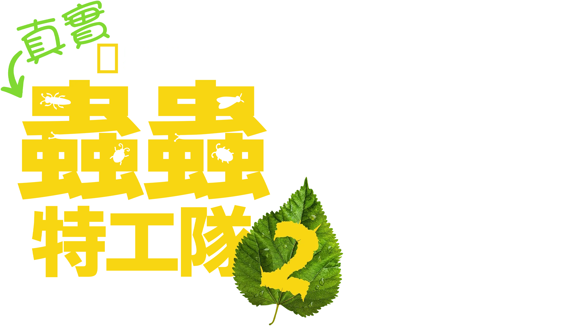 真實蟲蟲特工隊