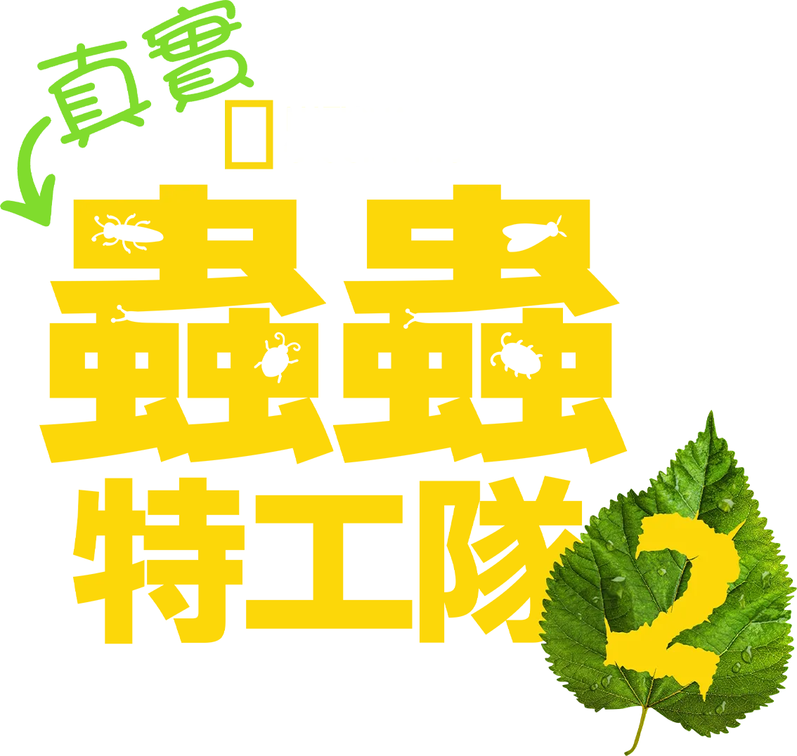 真實蟲蟲特工隊