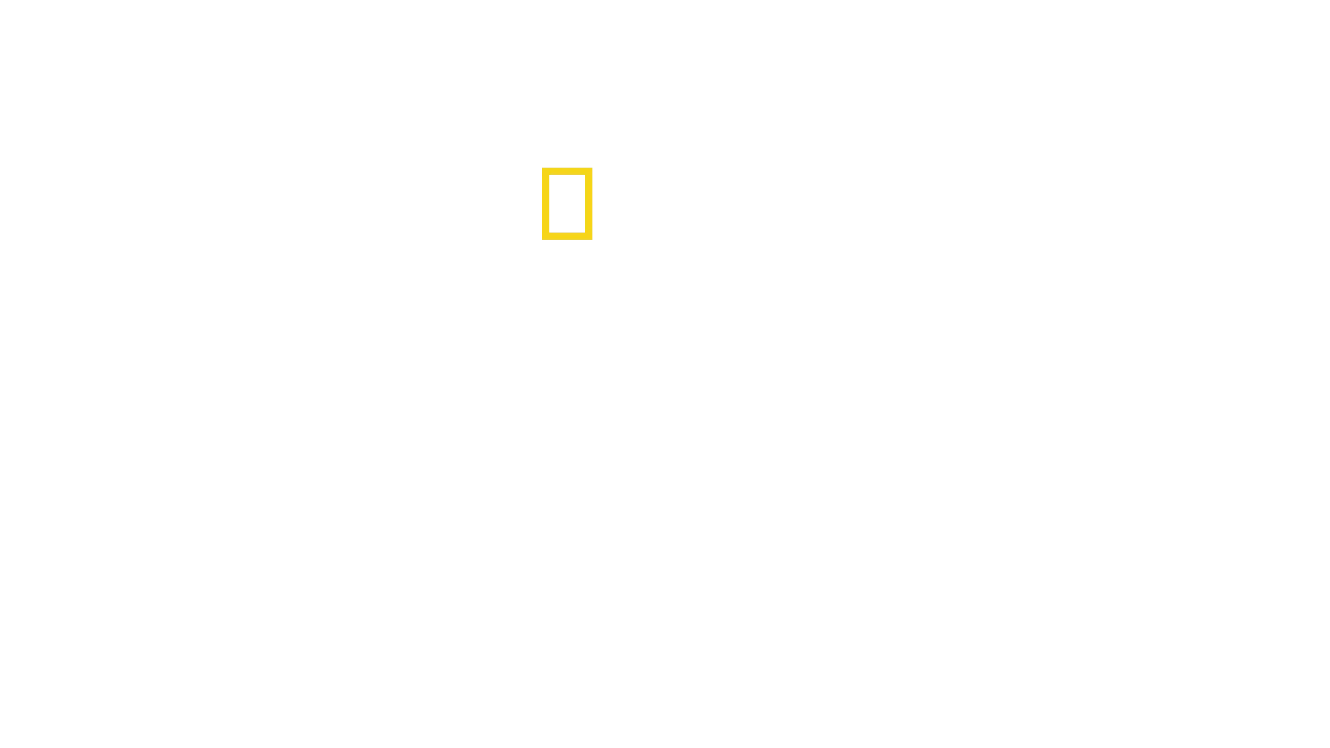 Secretos de las ballenas
