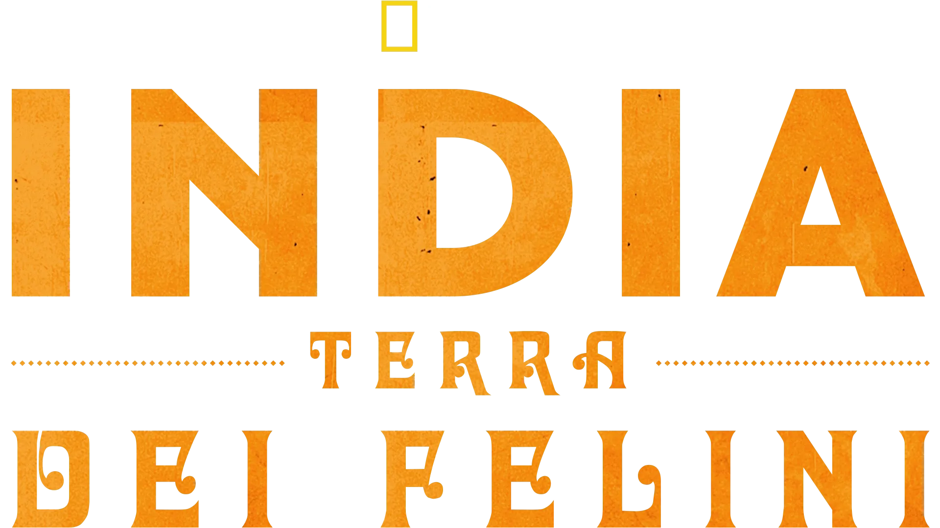India: Terra Dei Felini