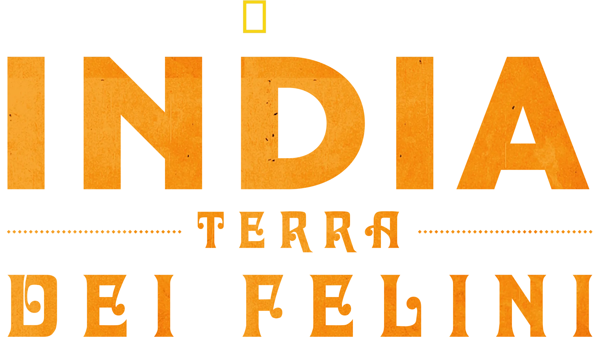 India: Terra Dei Felini