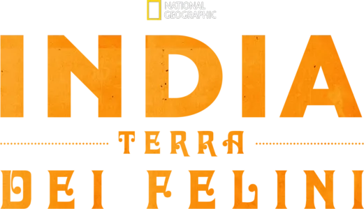 India: Terra Dei Felini