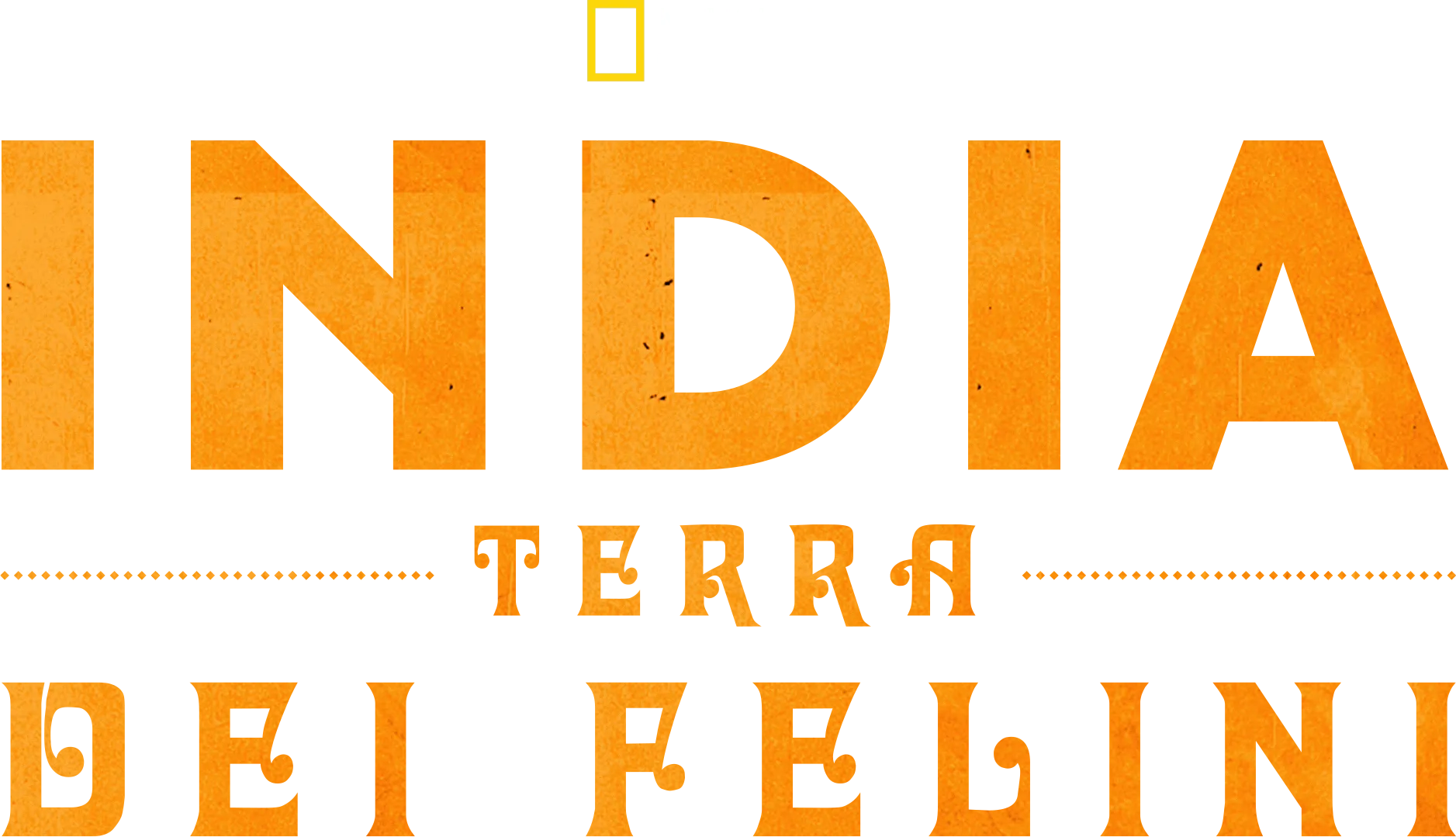 India: Terra Dei Felini