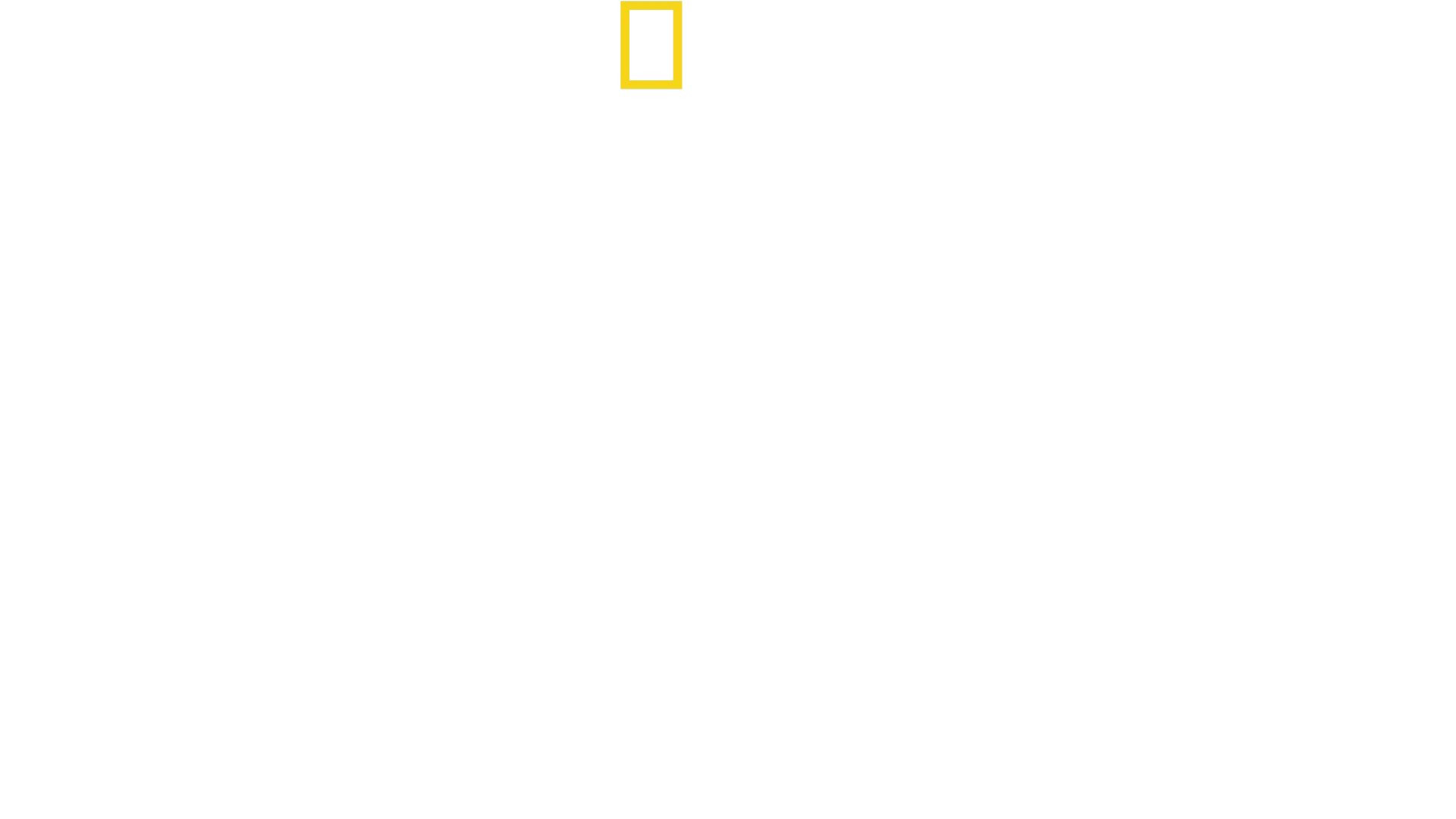 Djur växer upp