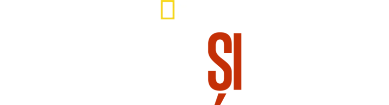 Dragoste și război