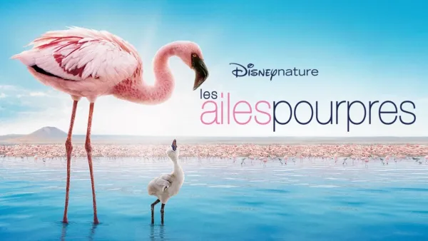 thumbnail - Les Ailes pourpres