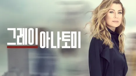 thumbnail - 그레이 아나토미