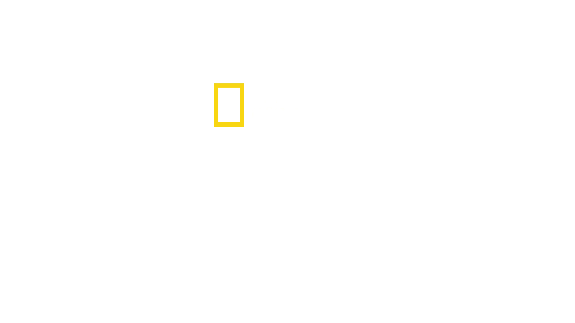 Sri Lanka : Le royaume des léopards