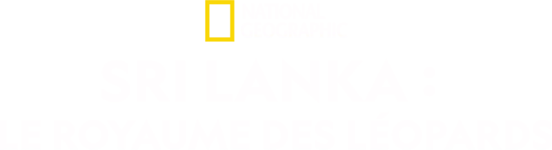 Sri Lanka : Le royaume des léopards