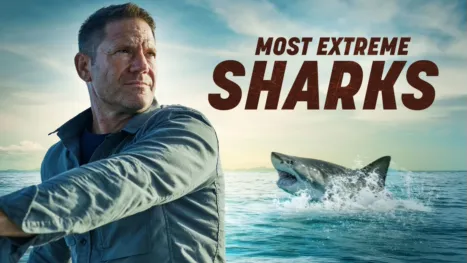 thumbnail - Most Extreme Sharks