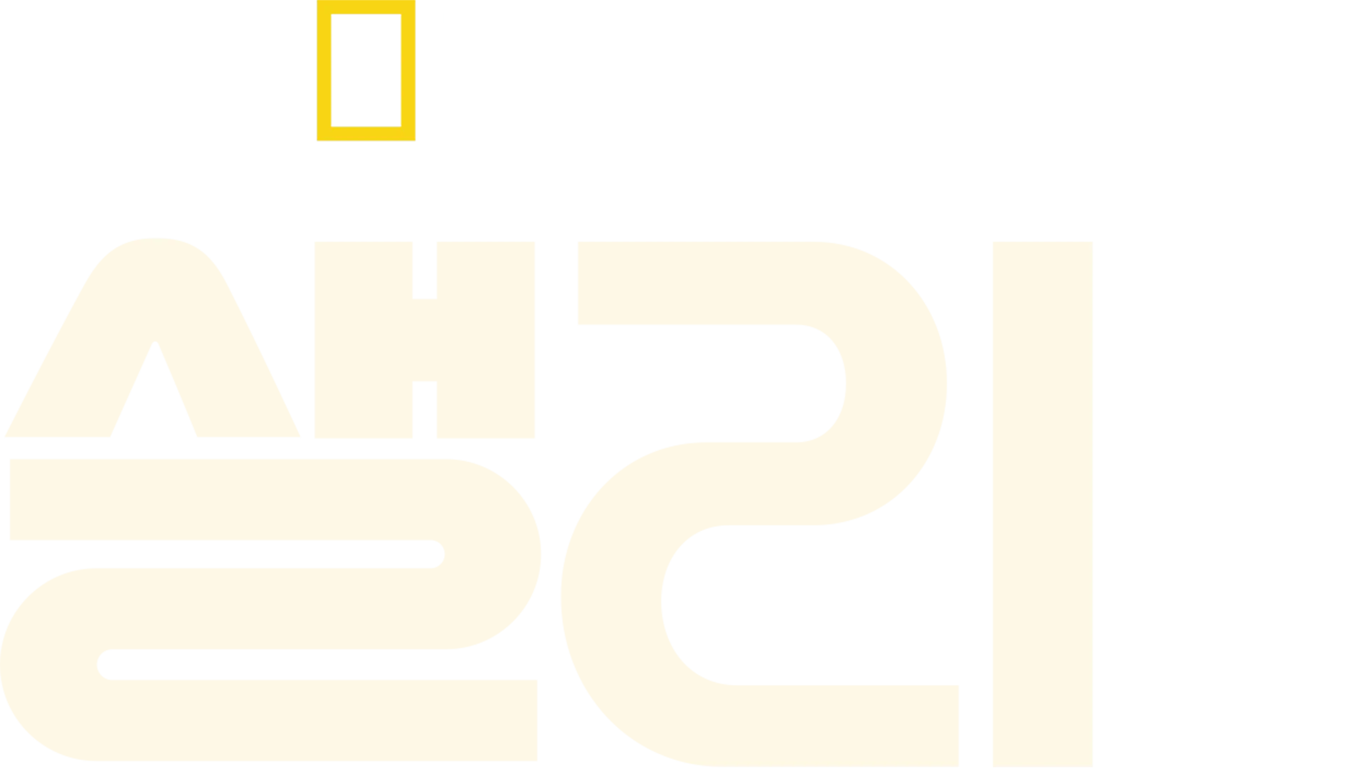 샐리