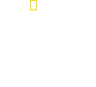 세상에서 가장 위험한 상어는?