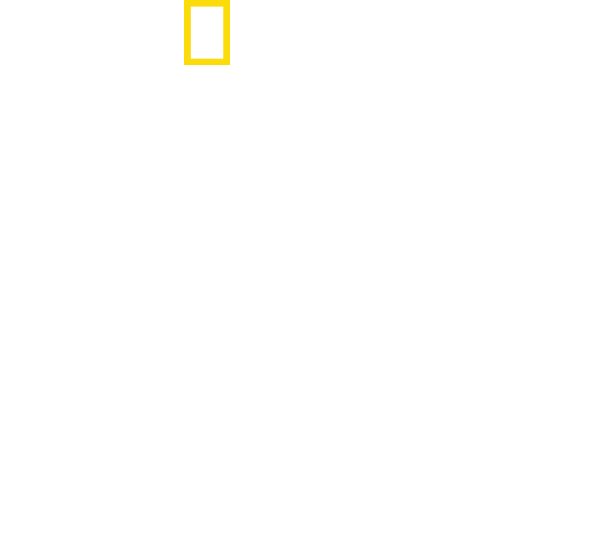 세상에서 가장 위험한 상어는?