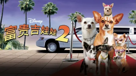 thumbnail - 富贵吉娃娃2