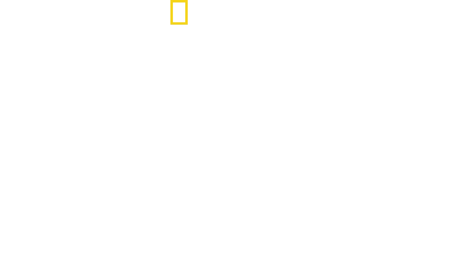 Tæt på Nordkorea: Kim-dynastiet