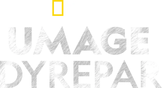Umage dyrepar