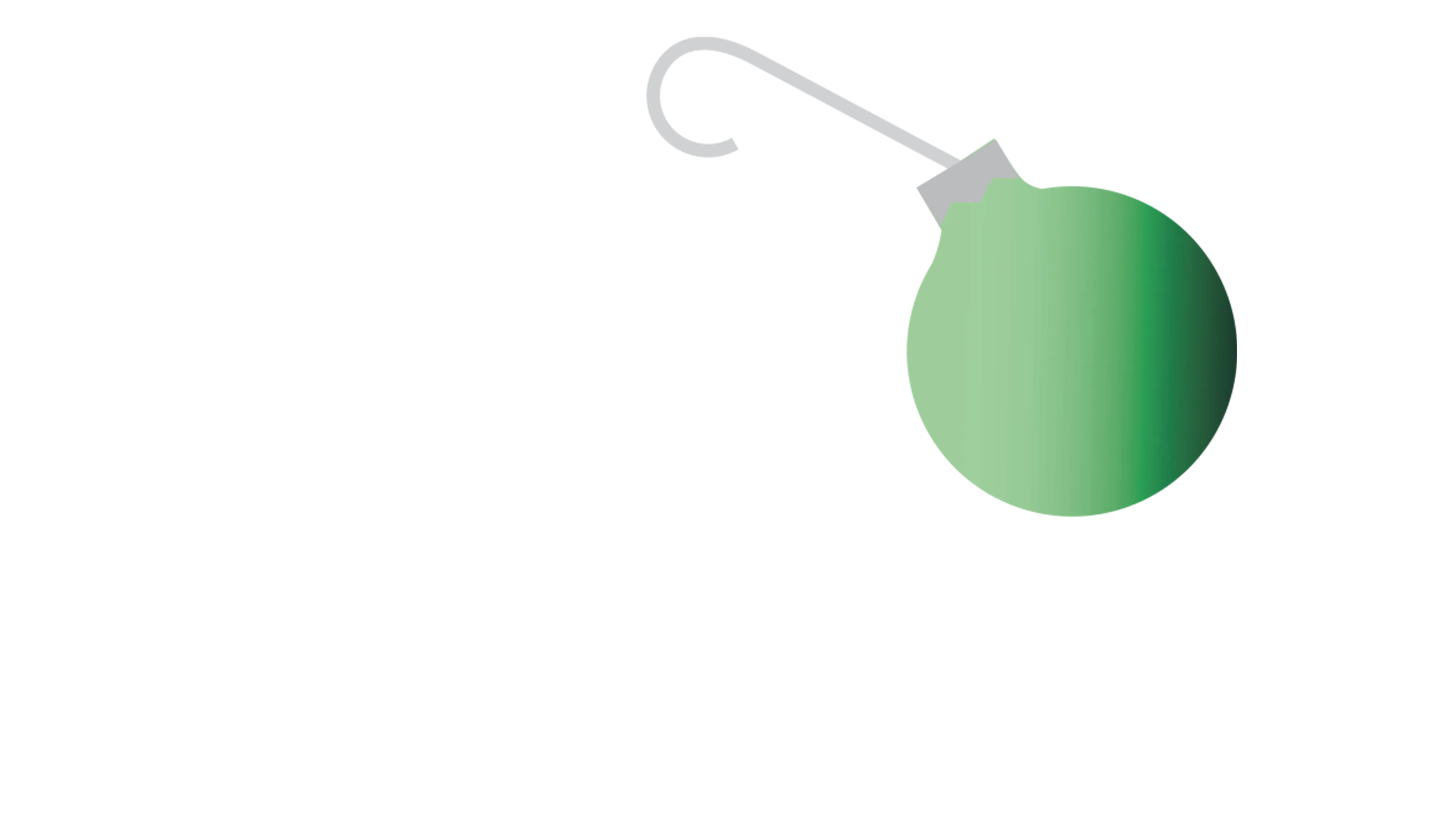 圣诞夜疯狂