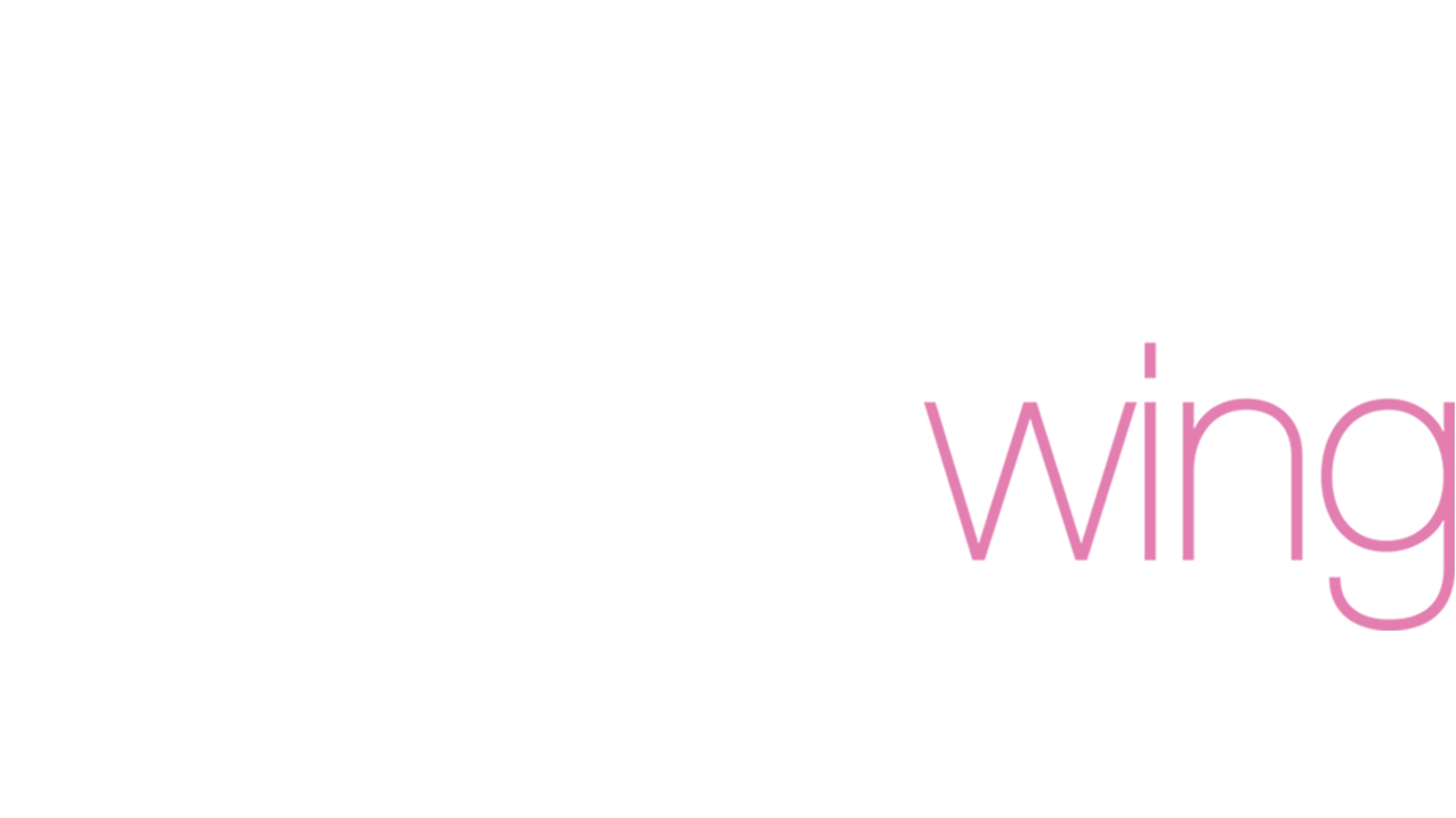 Crimson Wing: O Mistério dos Flamingos