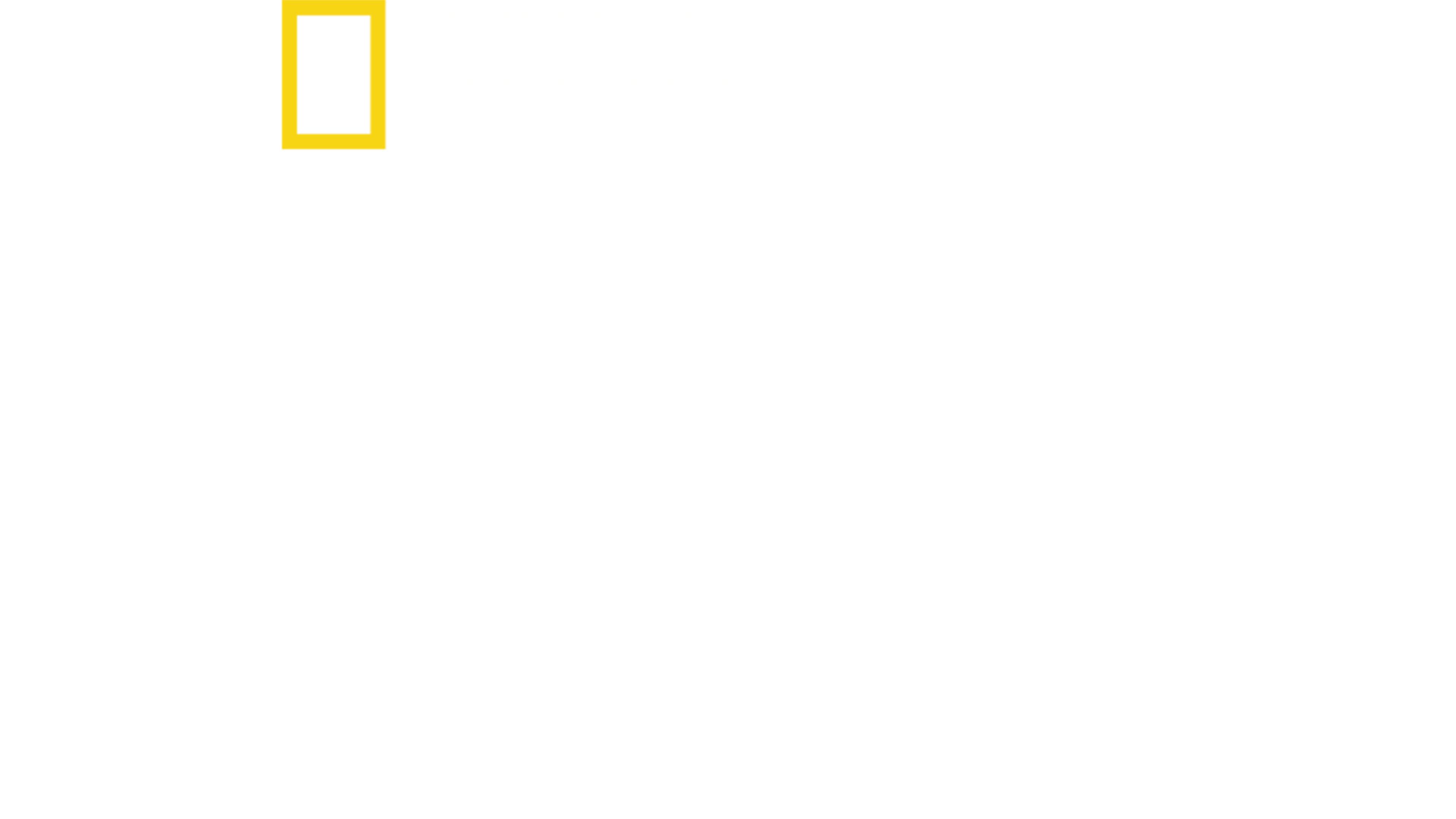 《乡村兽医拍档》