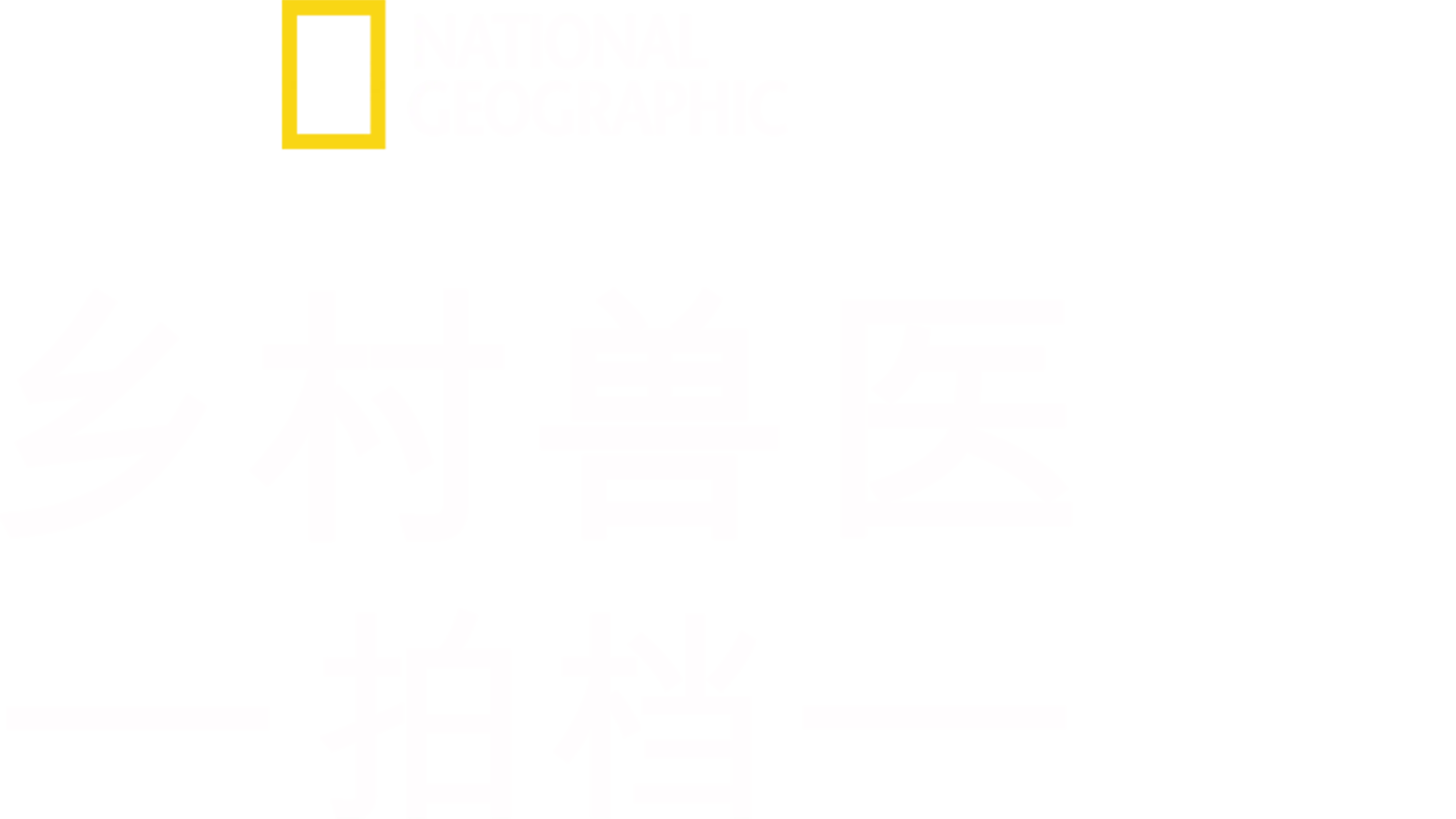 《乡村兽医拍档》