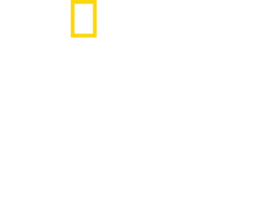 《乡村兽医拍档》