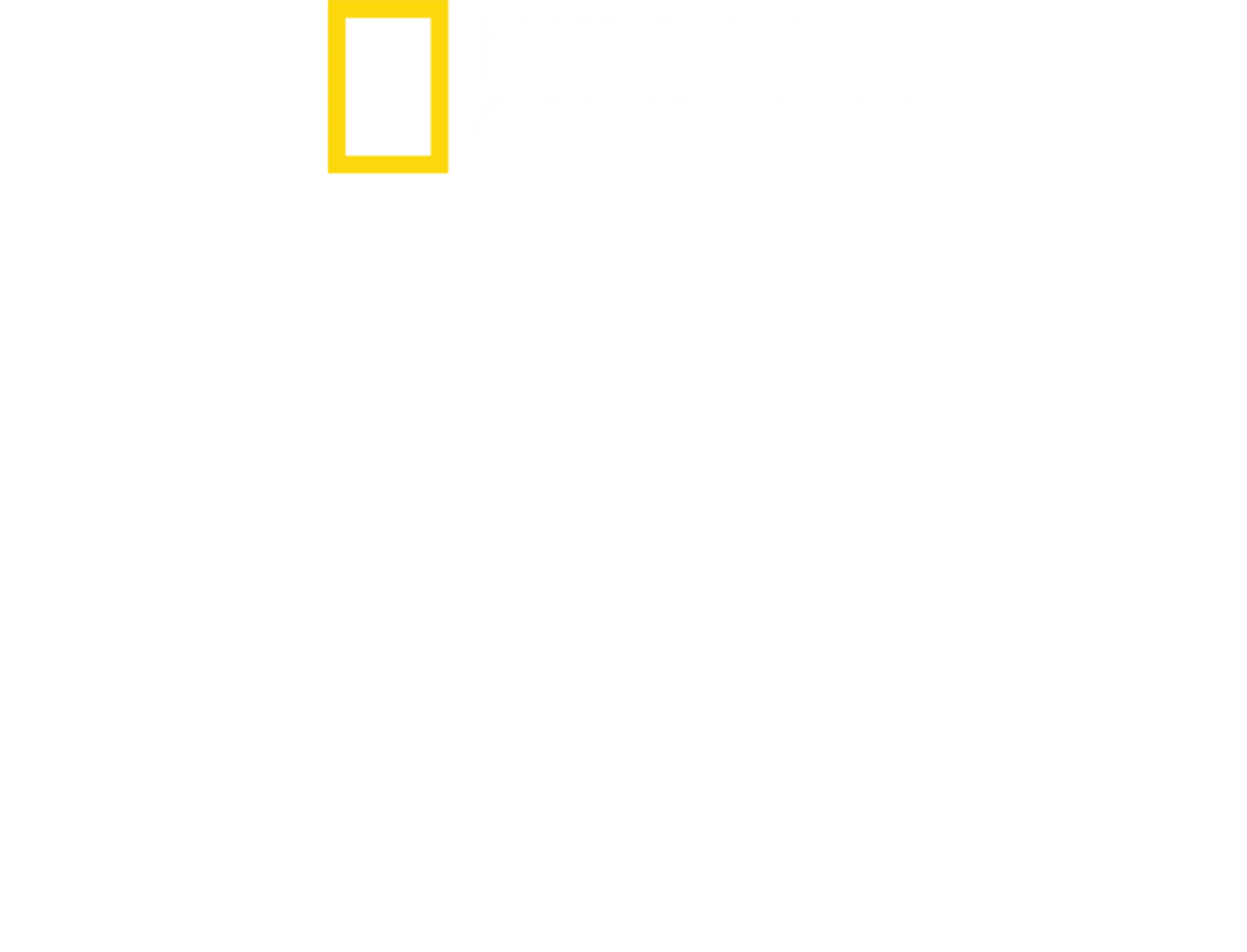 《乡村兽医拍档》