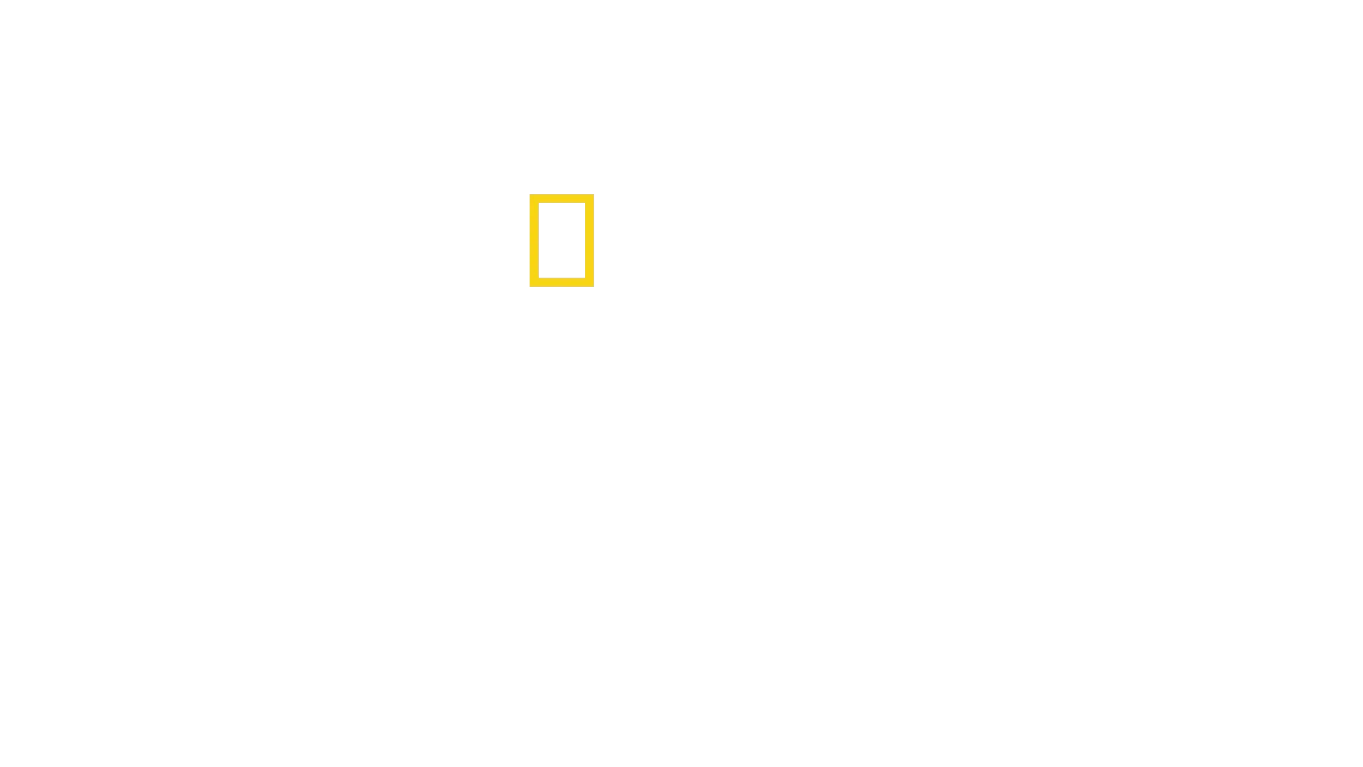 Teknologiens evolution
