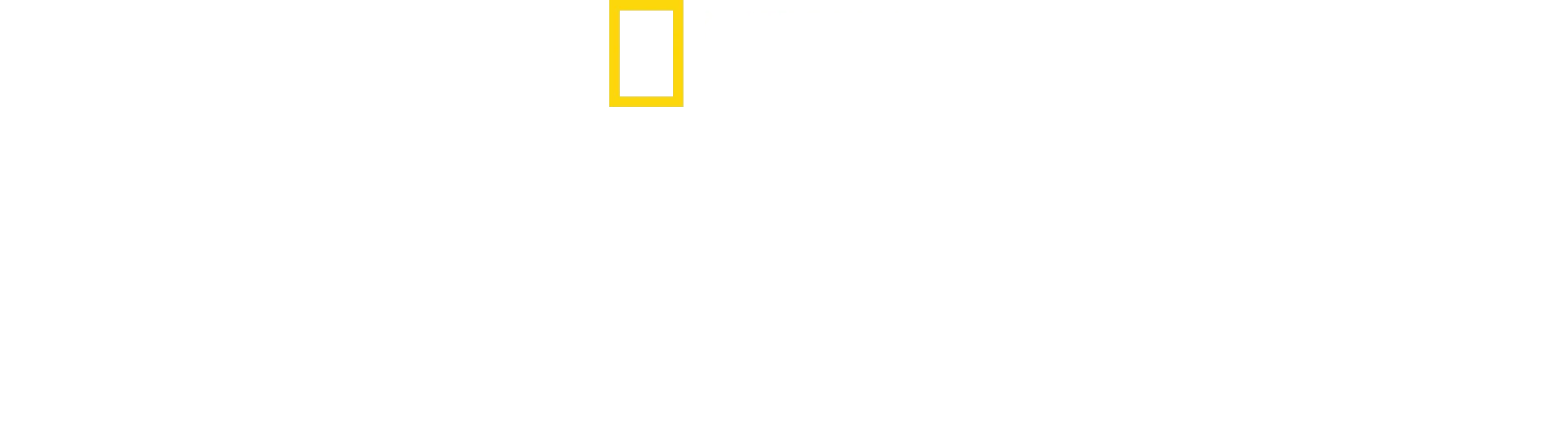 Teknologiens evolution