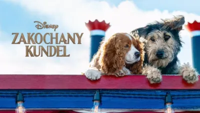 thumbnail - Zakochany kundel