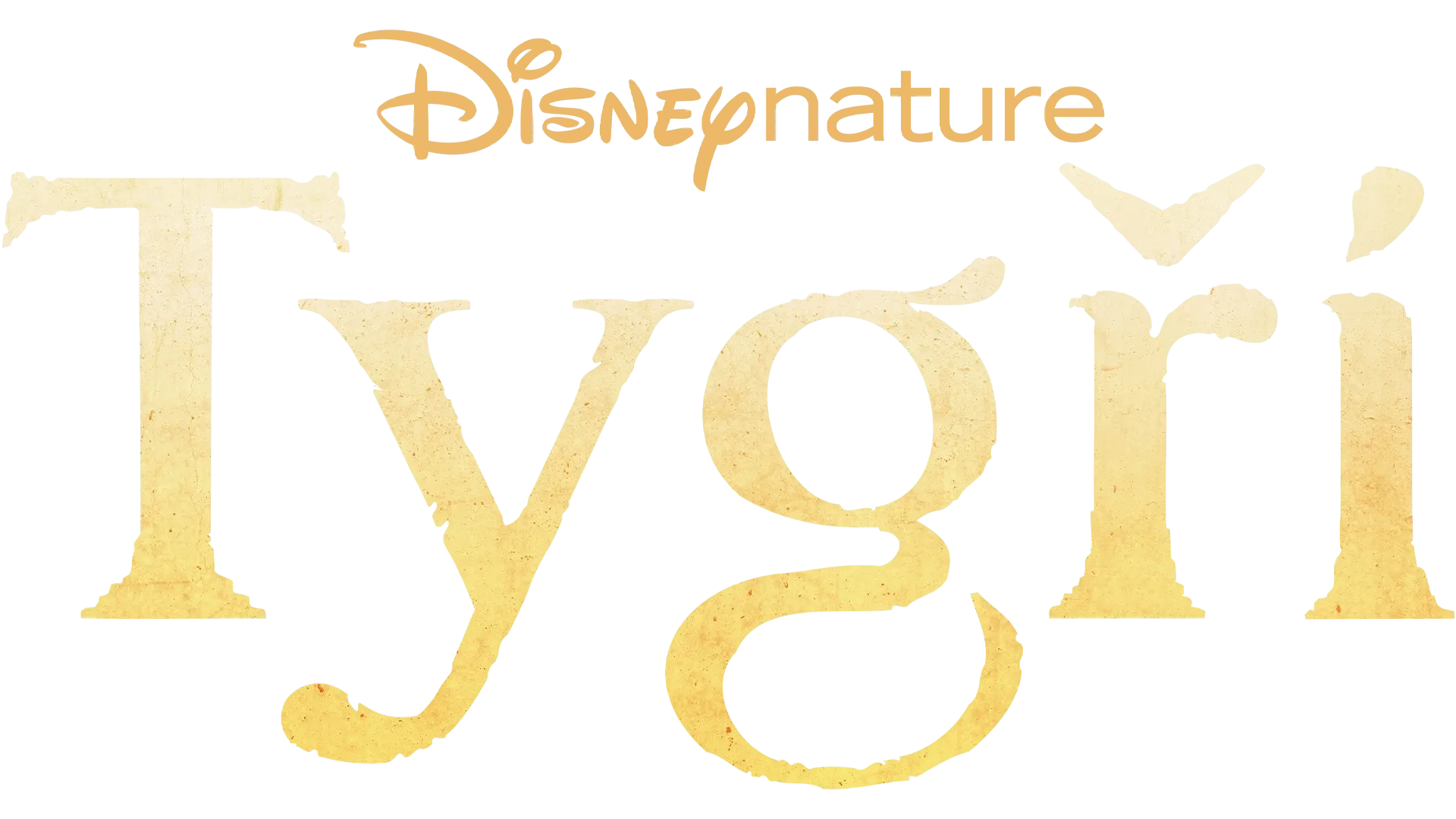Tygři