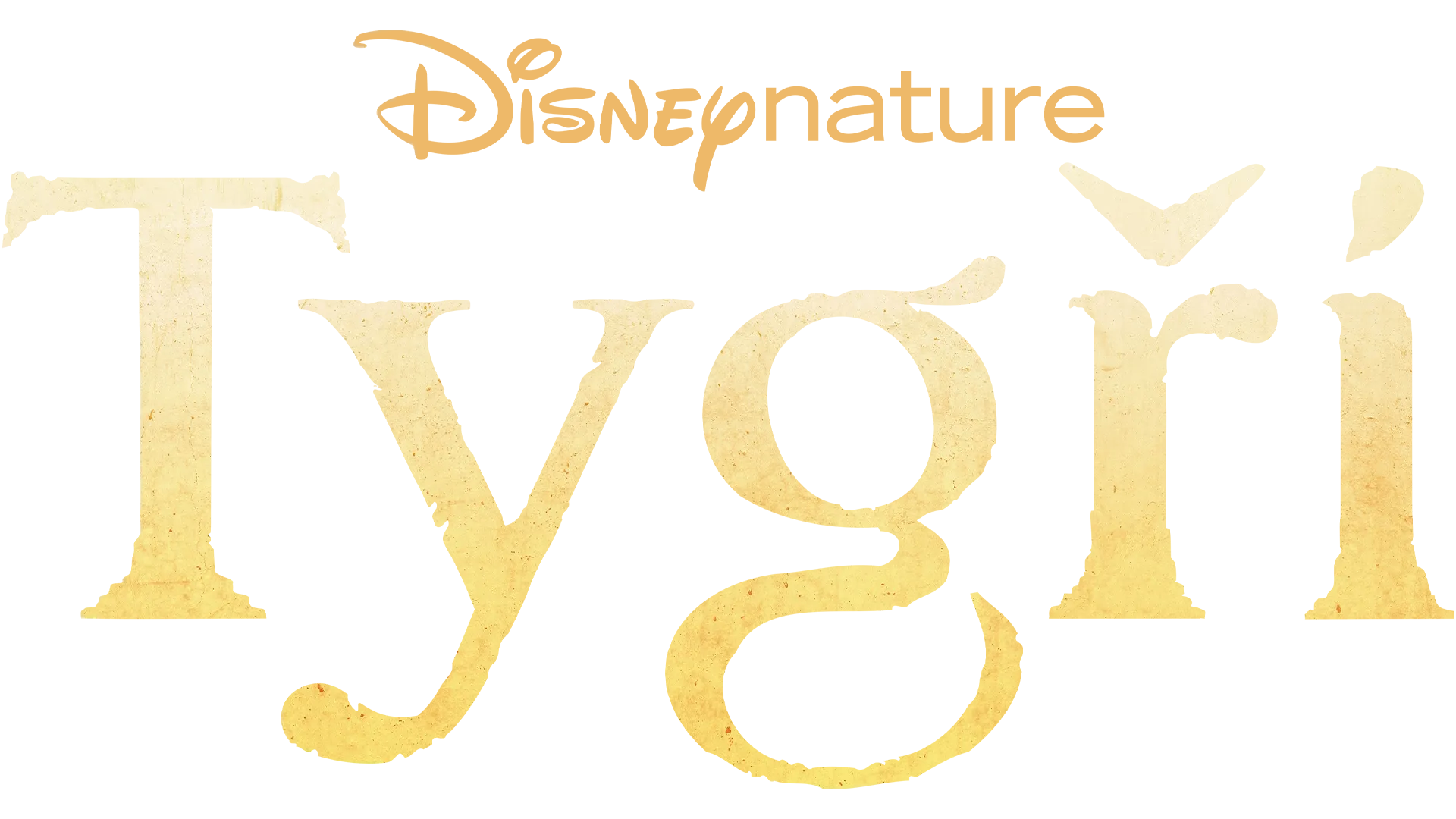 Tygři