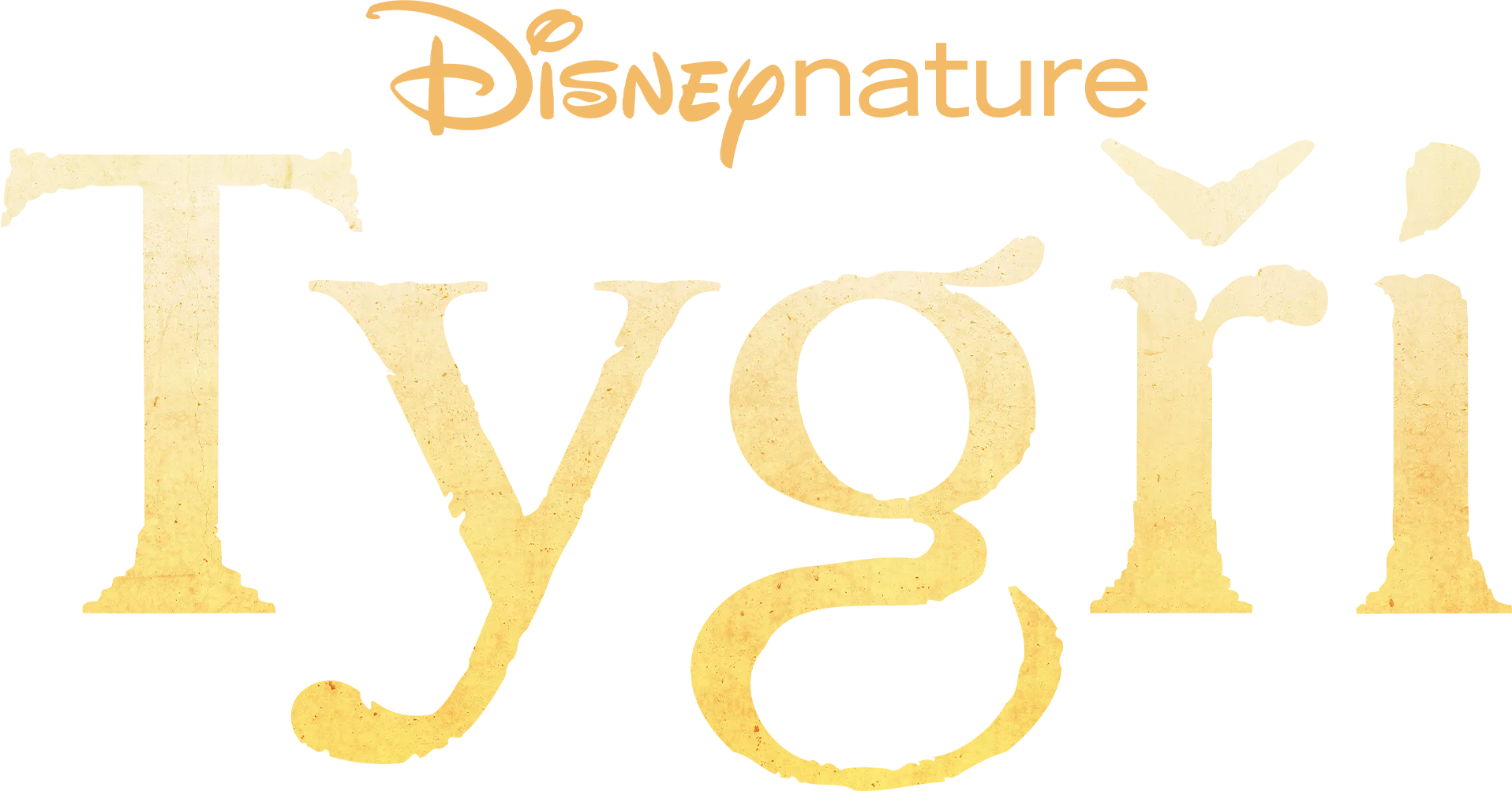 Tygři