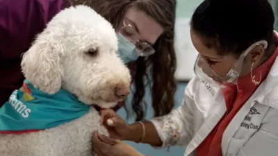 thumbnail - S1:E1 I'm All Ear Worms