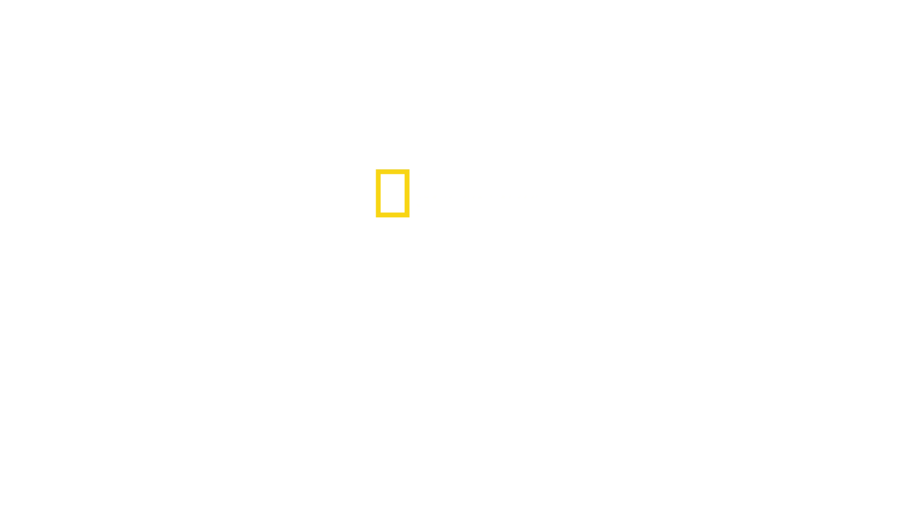 Rechin contra ton