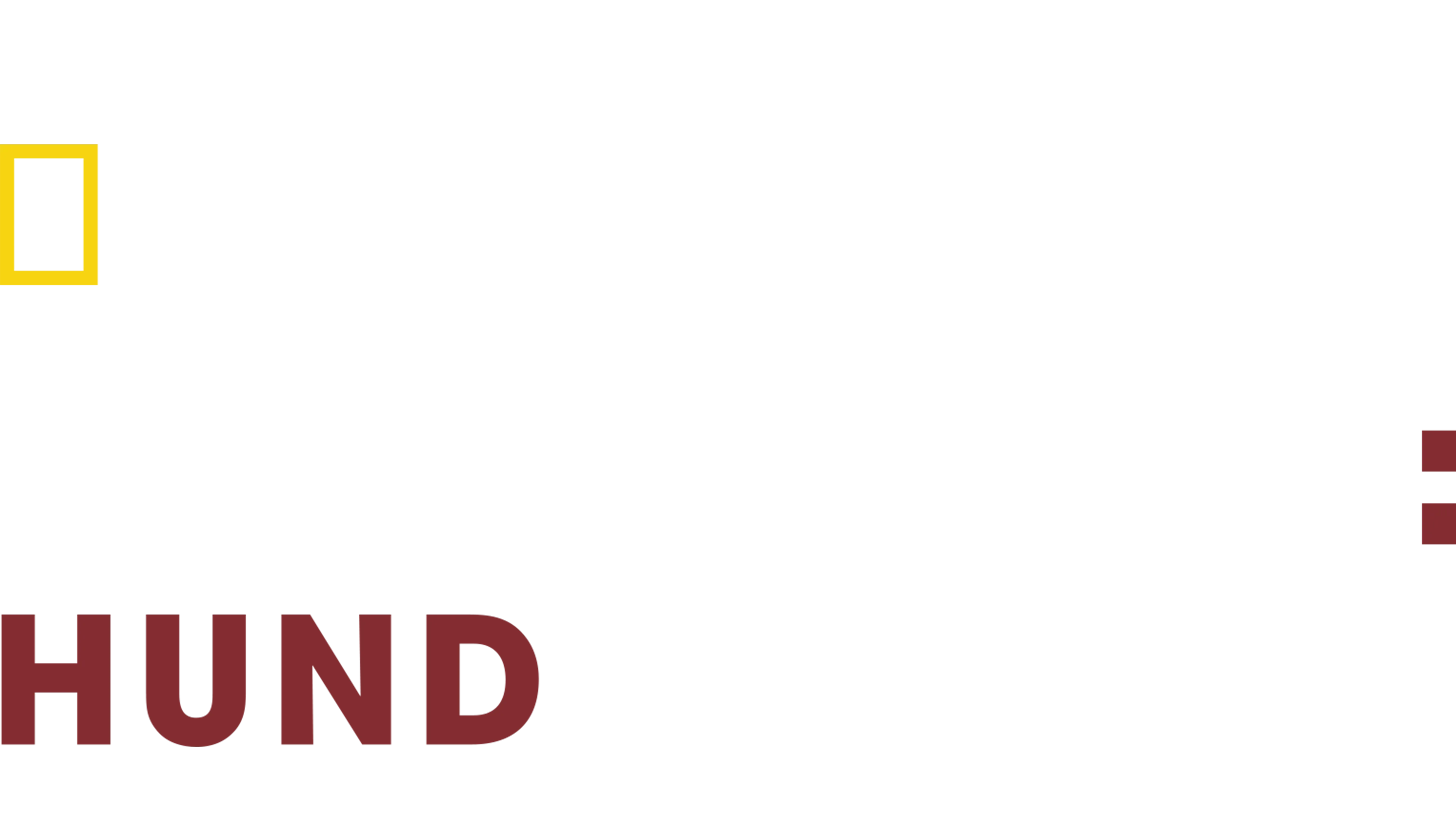 Uppdrag: Hund