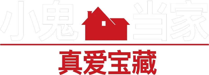 小鬼当家 真爱宝藏