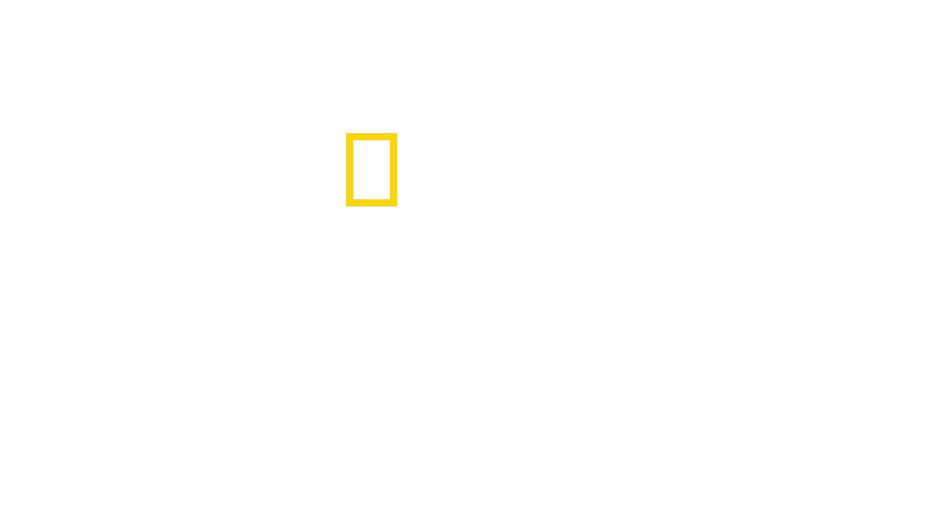 Divididos