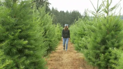 thumbnail - S1:E12 Holiday Tree Farm