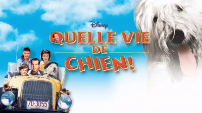 Quelle vie de chien