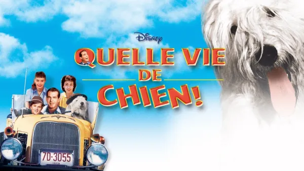 thumbnail - Quelle vie de chien
