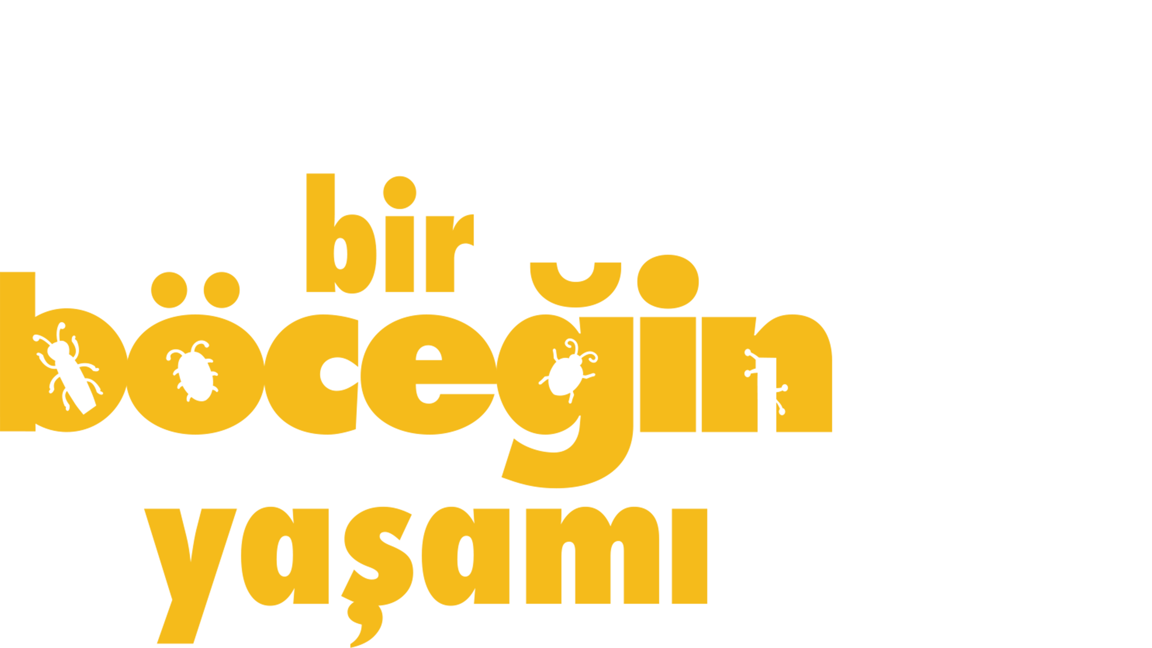 Bir Böceğin Yaşamı