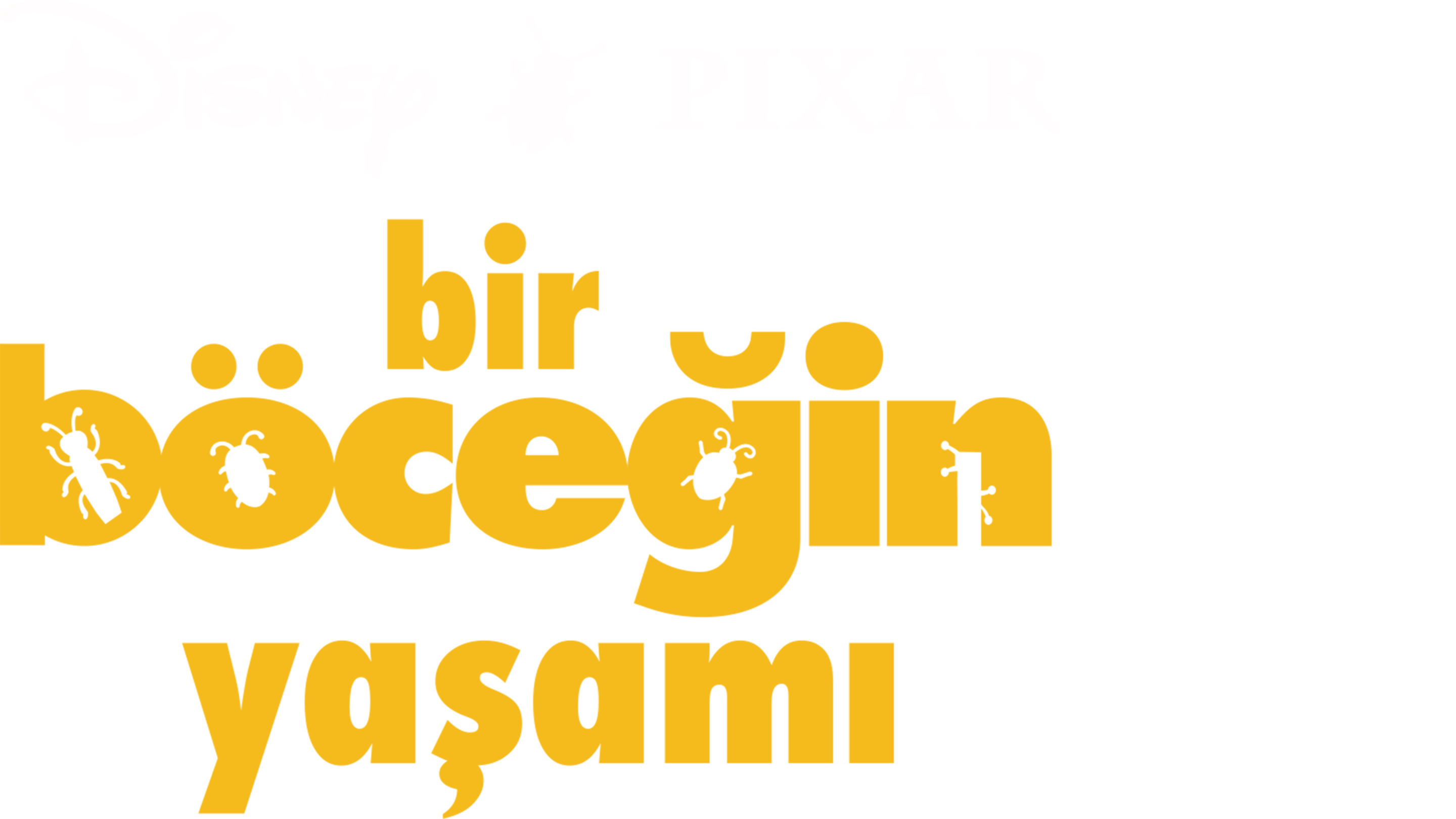Bir Böceğin Yaşamı