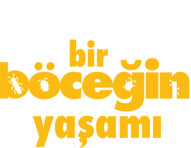 Bir Böceğin Yaşamı