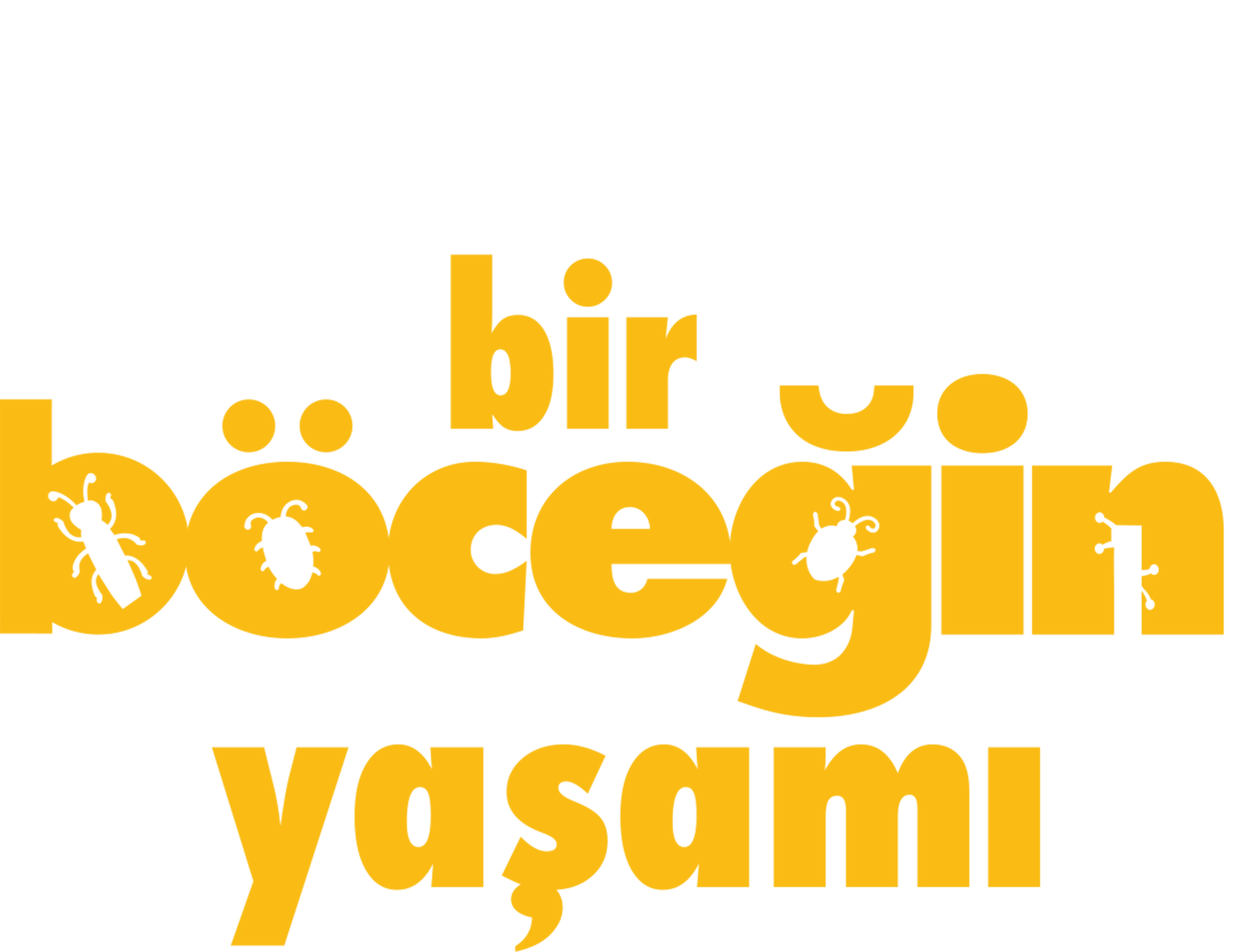 Bir Böceğin Yaşamı